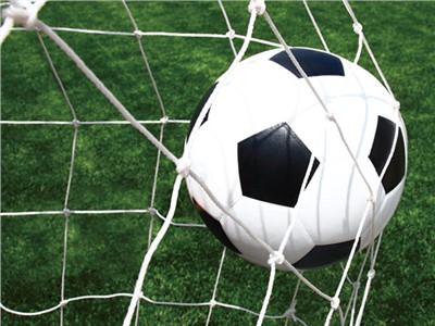 星海運(yùn)動專注于生產(chǎn)運(yùn)動用網(wǎng)及運(yùn)動場配套設(shè)施